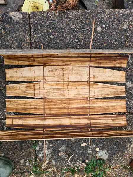 Sweet chestnut pattern cut