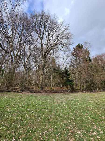 Basecamp at Colin Godmans