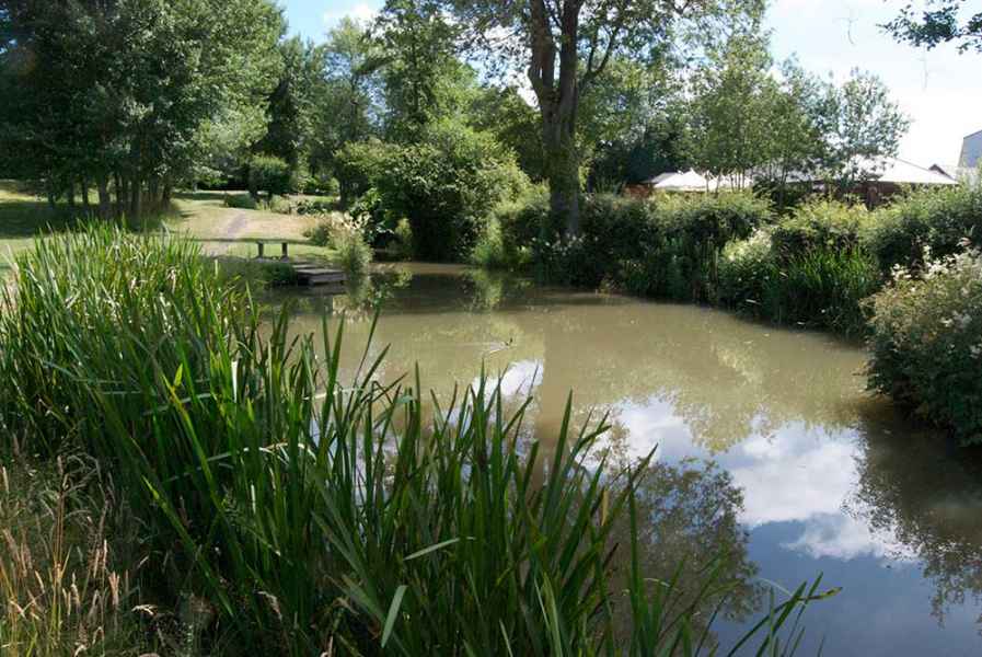 Coltsford Mill - Lower Cascade