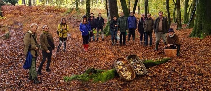 Mushroom Hunting - Early Autumn