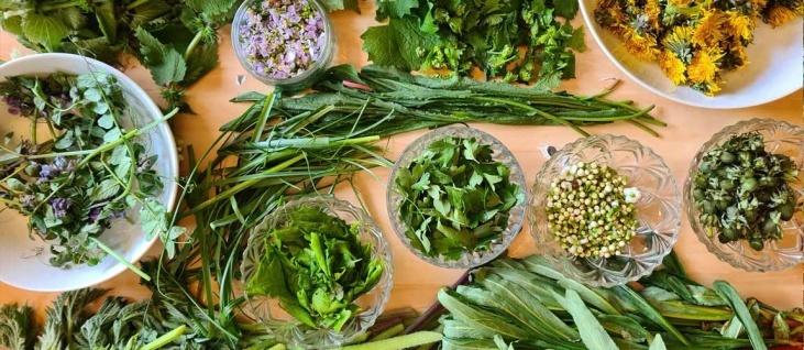 /events/spring-plants