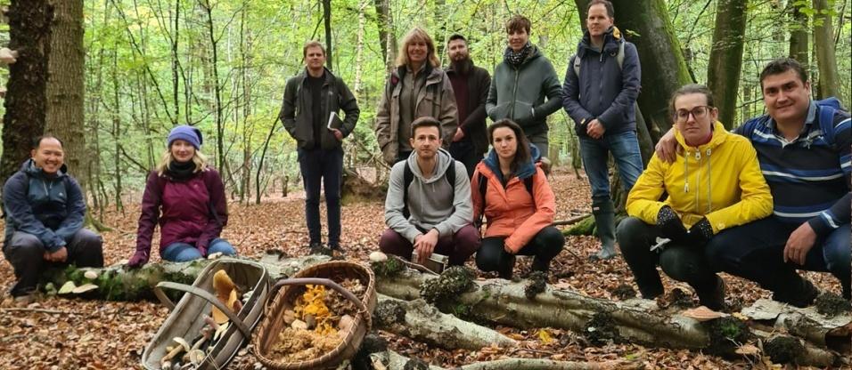 Mushroom Hunting - Late Autumn