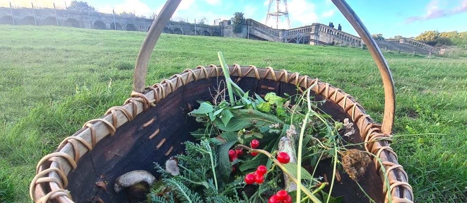 wild-food-autumn-se19